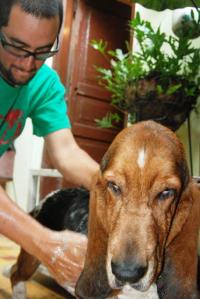 Baño de Nicolas Baño de Nicolás