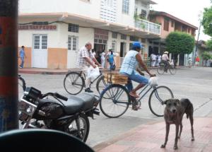 Bicis en fusa Las bicis en Espinal