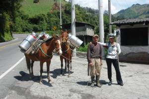 De la lecheria De la lechería