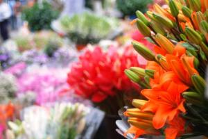 Mercado de Flores Mercado de flores