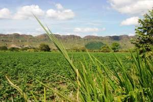 Montañas Camino a Cajamarca