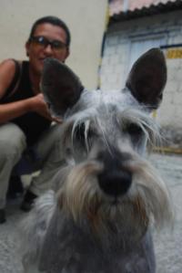 Una cosa grisacea Una cosa grisácea