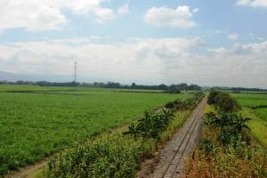 Valle del Cauca Valle del Cauca