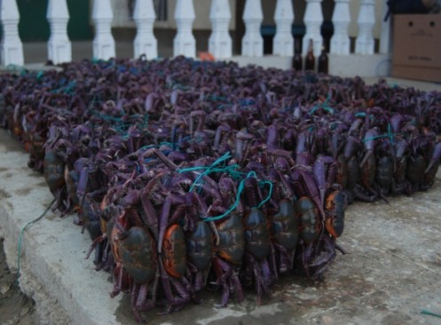 La venta de cangrejos