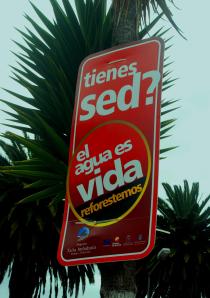 sed tiene sed?