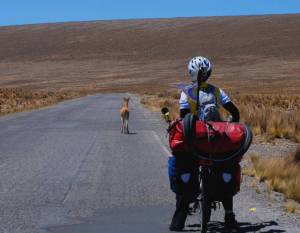 Bicuña con Laura no distinguen caminos