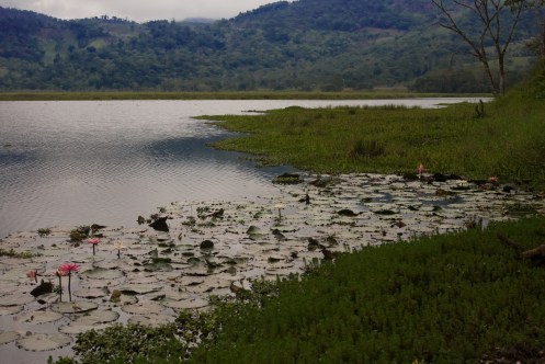 DSC_1014 Laguna Oconal, Villa Rica