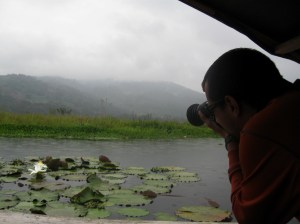 tomando fotos tomando fotos