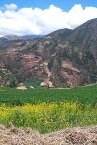 Cultivos de cultivos y cordilleras