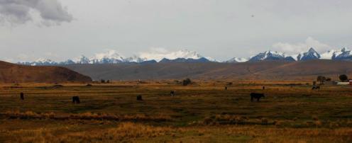Los nevados de Bolivia Los nevados de Bolivia