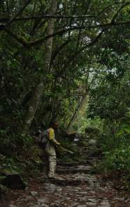 Por el sendero de Machupicchu Por el sendero hacia Machupicchu