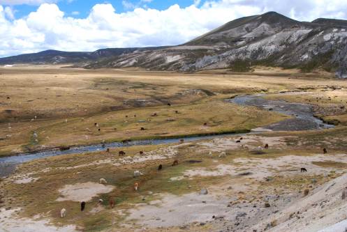 Valle de llamas Valle de llamas