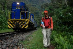 viene el tren viene el tren