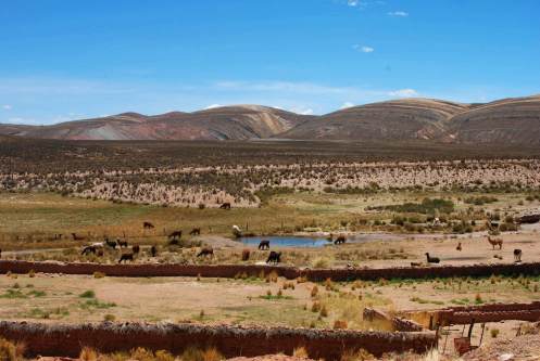 Las llamas en el Norte de Argentina
