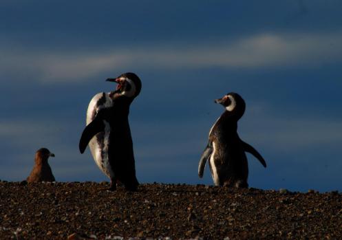 mirando hacia el mar mirando hacia el mar
