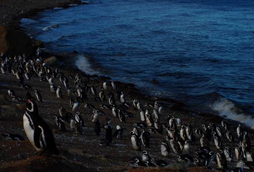 desde el mar desde el mar