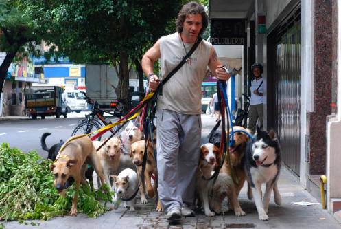 paseador de perros