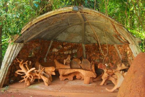 El mundo de las raíces El mundo de las raíces