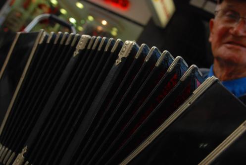 Acordionista Acordionista