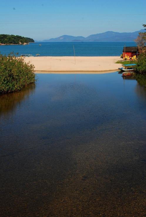 Transparencia Transparencia