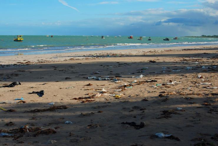 basura que el mar devuelve