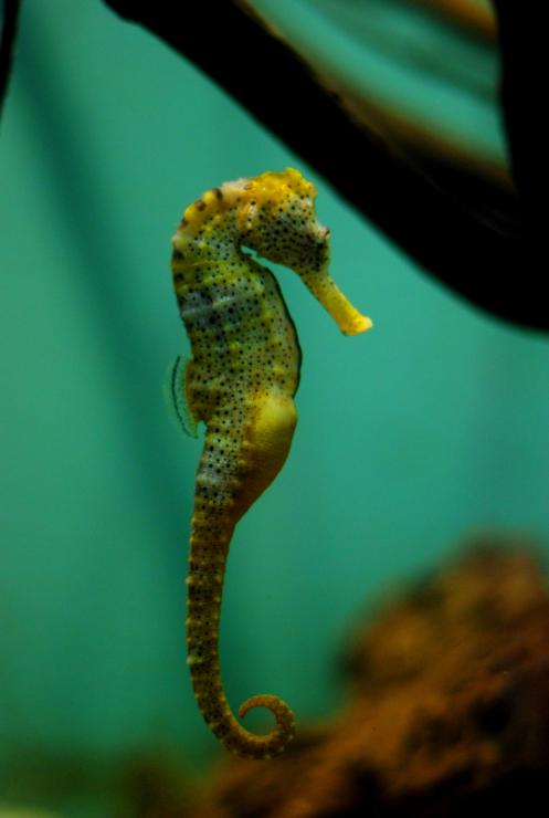 un regalo de la Creación