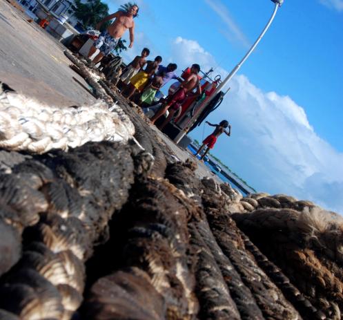 Fruto del mar Fruto del mar