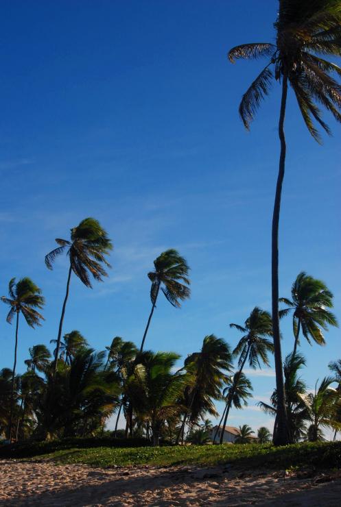 la fuerza del viento