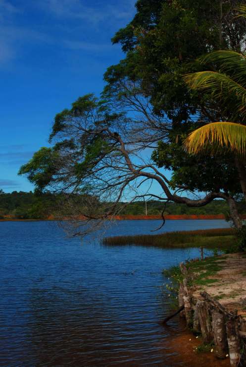 laguna Aruá