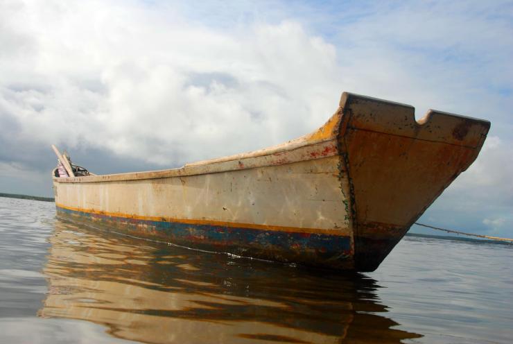 vidas entre redes y corrientes