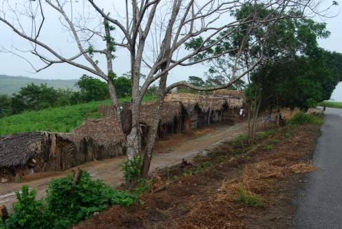 viviendas de los trabajadores de la caña