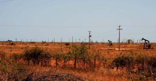 "Bosques" de petróleo