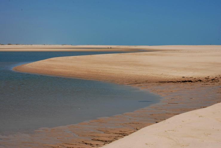 cuando la marea baja