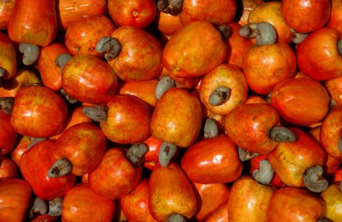 la frescura de los marañones