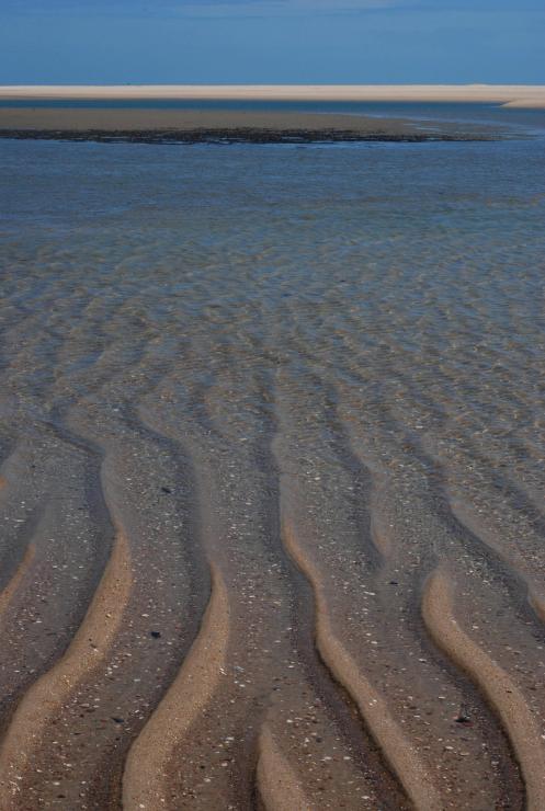 las formas de la naturaleza