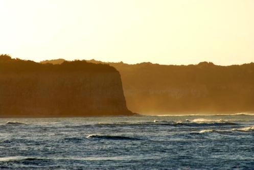 los sepias del mar los sepias del mar
