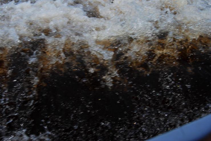 aguas del Río Negro