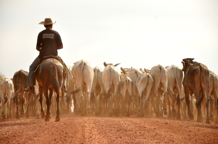 Fotografía de Bernardo Camara en la carretera Transamazonica