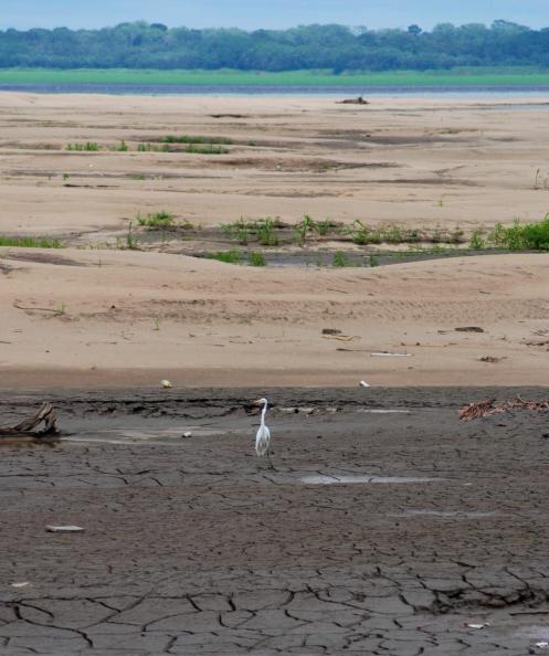 El Amazonas se seca