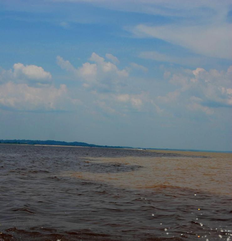 el encuentro de las aguas