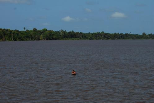 provienen de las entrañas de los canales