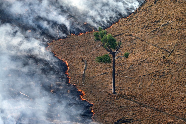 Fotografìa de Rodrigo Baleia para Greenpeace_Alta Floresta