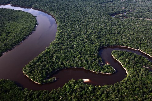 Fotografía de Rodrigo Baleia para Greenpeace- Parque Nacional do Jau