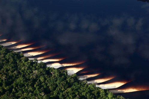 Fotografía de Rodrigo Baleia para Greenpeace- Parque Nacional de Anavilhanas