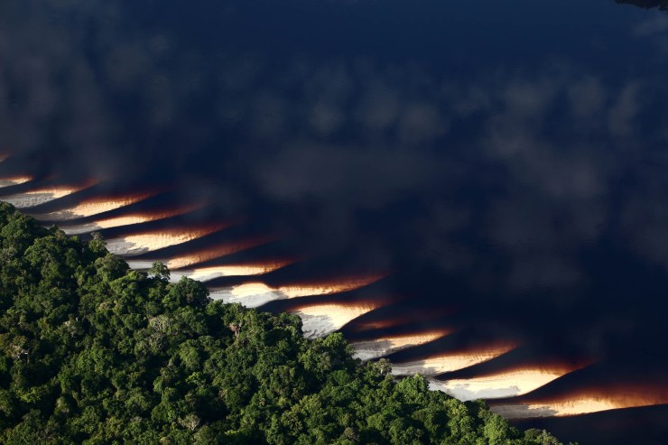 Fotografía de Rodrigo Baleia para Greenpeace- Parque Nacional de Anavilhanas
