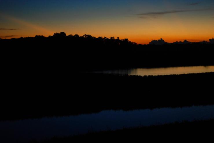 Desde el corazón del Amazonas