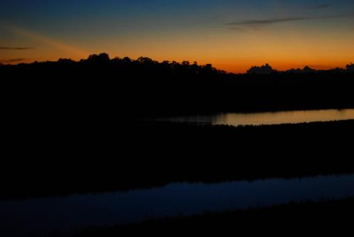 el corazón del amazonas