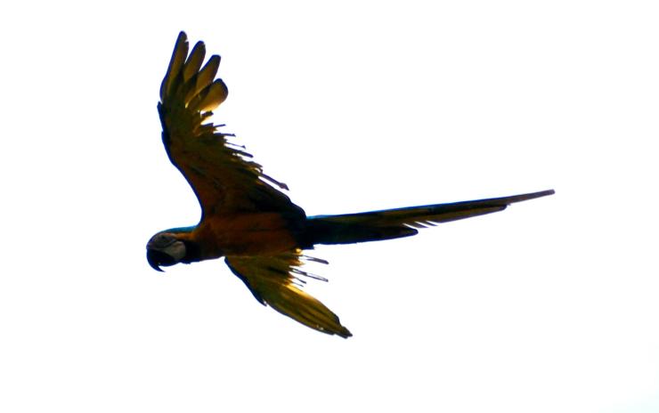 simplemente impresionantes