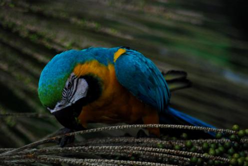 estaban tan cerca que parecía mentira