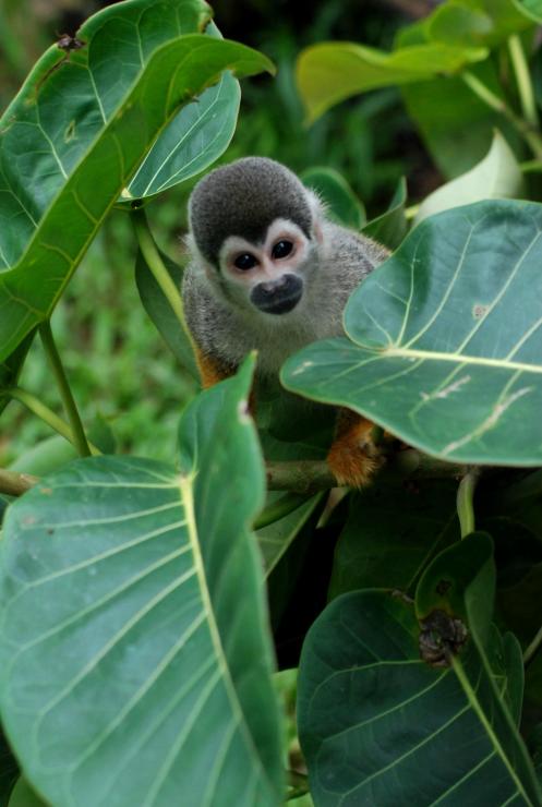 los sentimos como hermanos cercanos que nos querías decir algo...